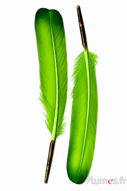 Schwan Seide - 25-30 cm - limettengrün-grün